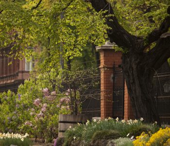 botanical-garden-3-m-vrdoljak-595387d08574a